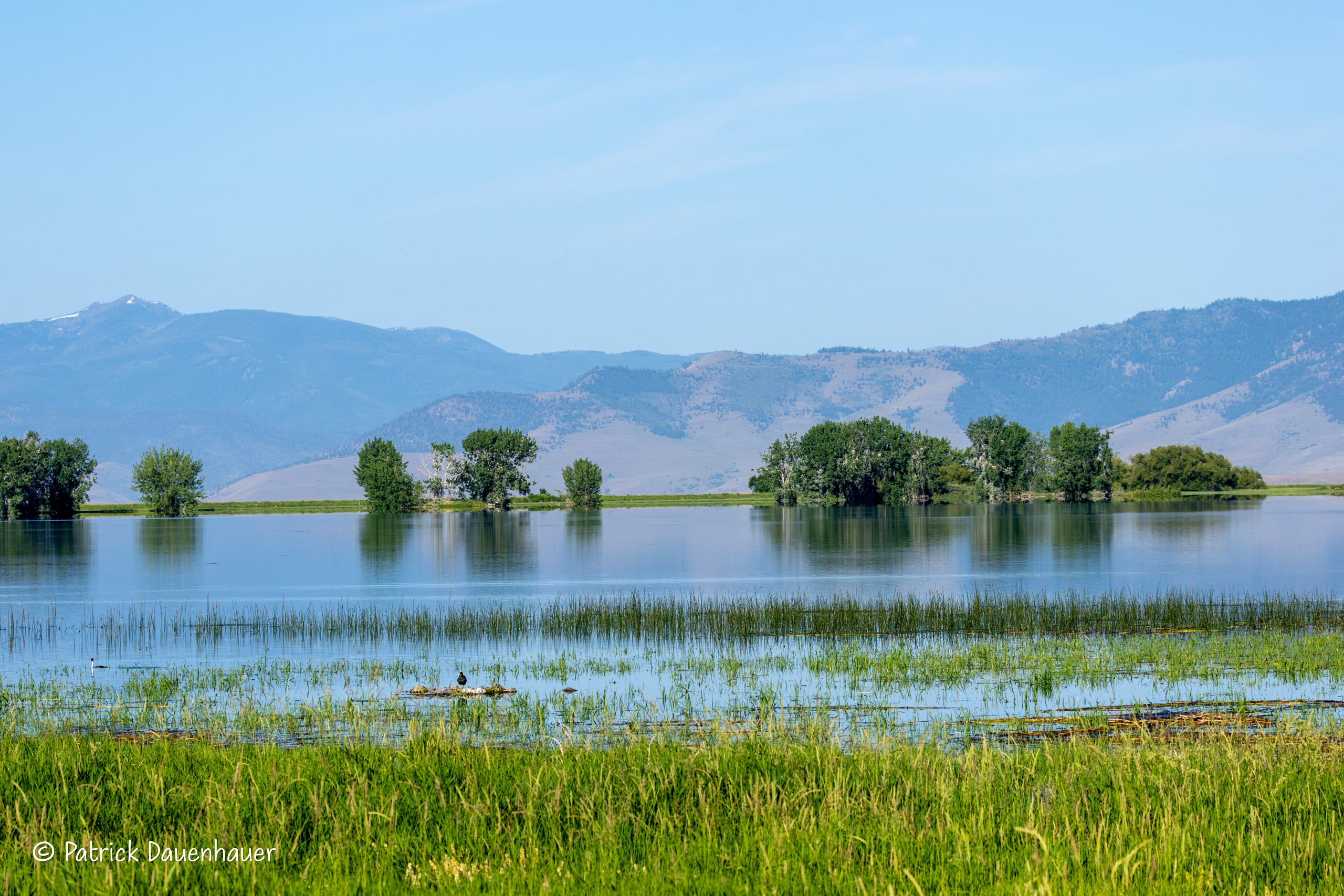 092A1625-Enhanced-NR